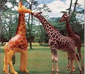 Zuando os animais - Girafa paes