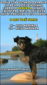 Levo na bunda (bobagento)