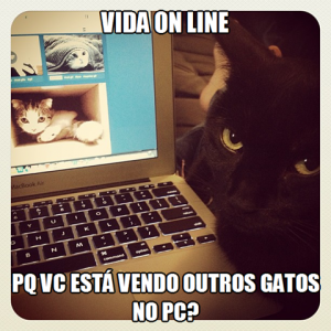 Pq vc está vendo outros gatos no pc?