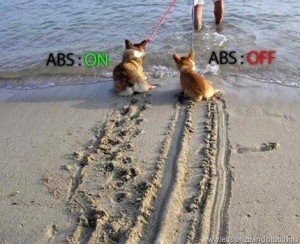 zuando os animais: ABS