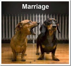 zuando o casamento: Vai casar